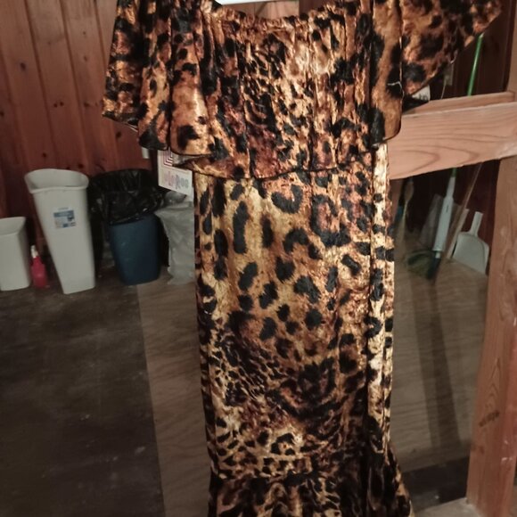 Dress - Picture 6 of 6